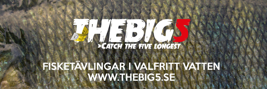 Thebig5 Fisketävling